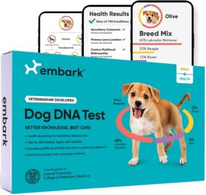 Embark DNA